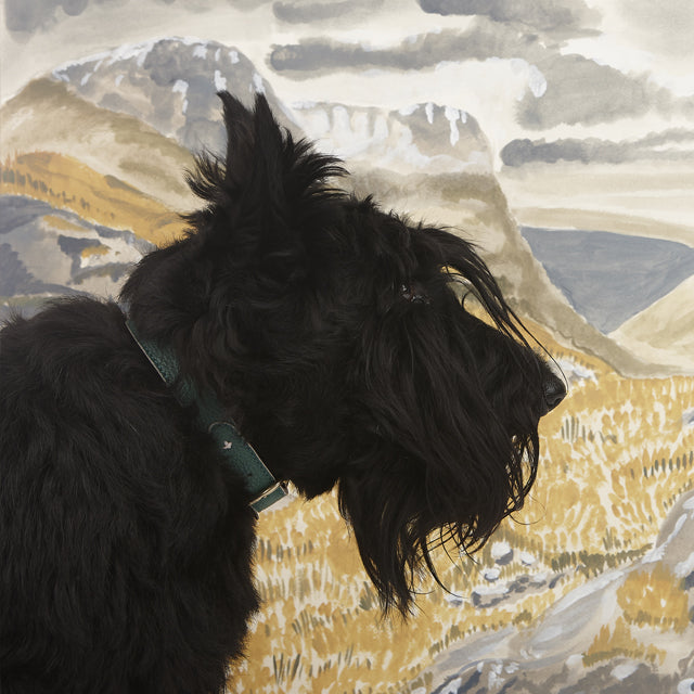 Notable Scottish Dogs