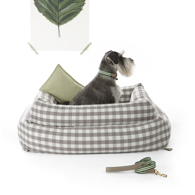 A Study Of Flora & Fauna