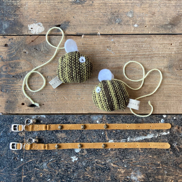 Cat Collars