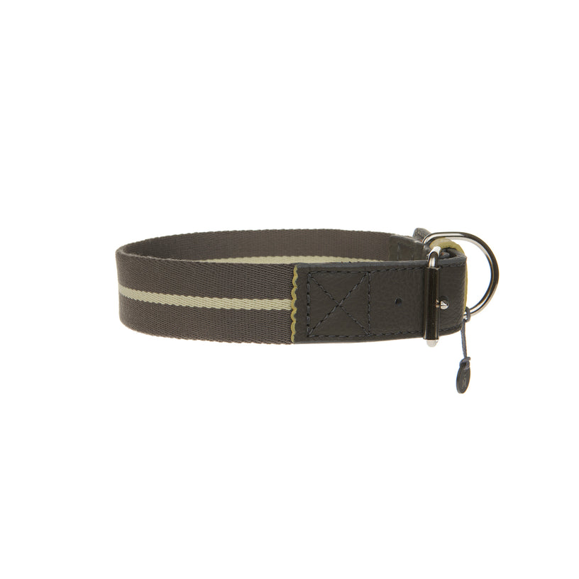 Pencil Dog Collar