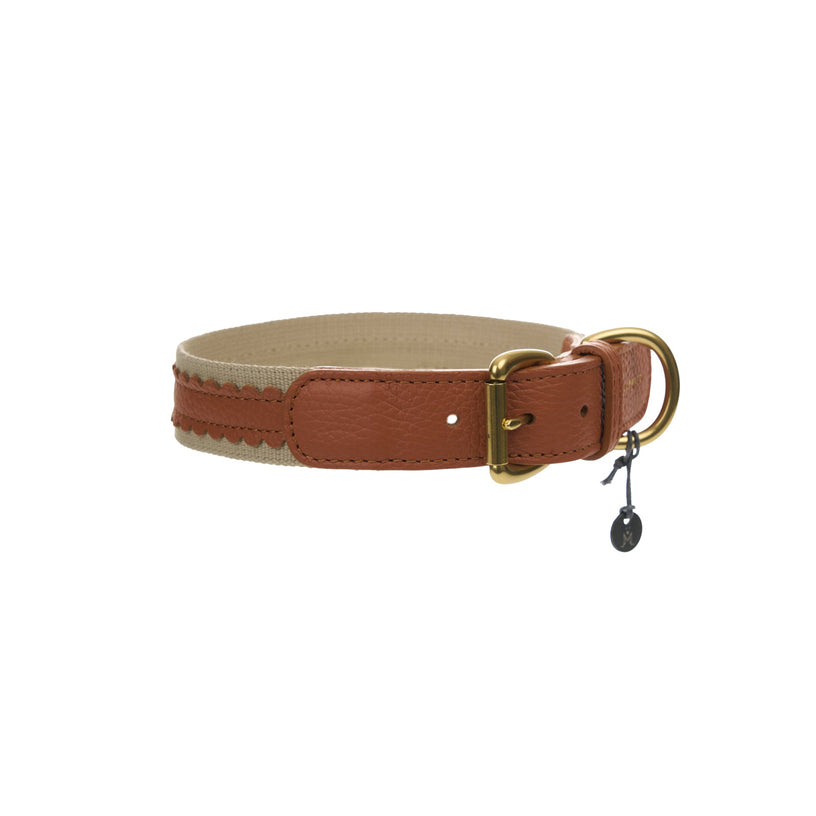 Bonbon Dog Collar