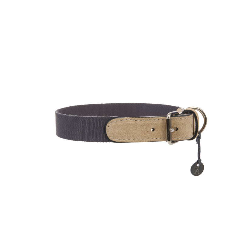 Collar per cani da baseball