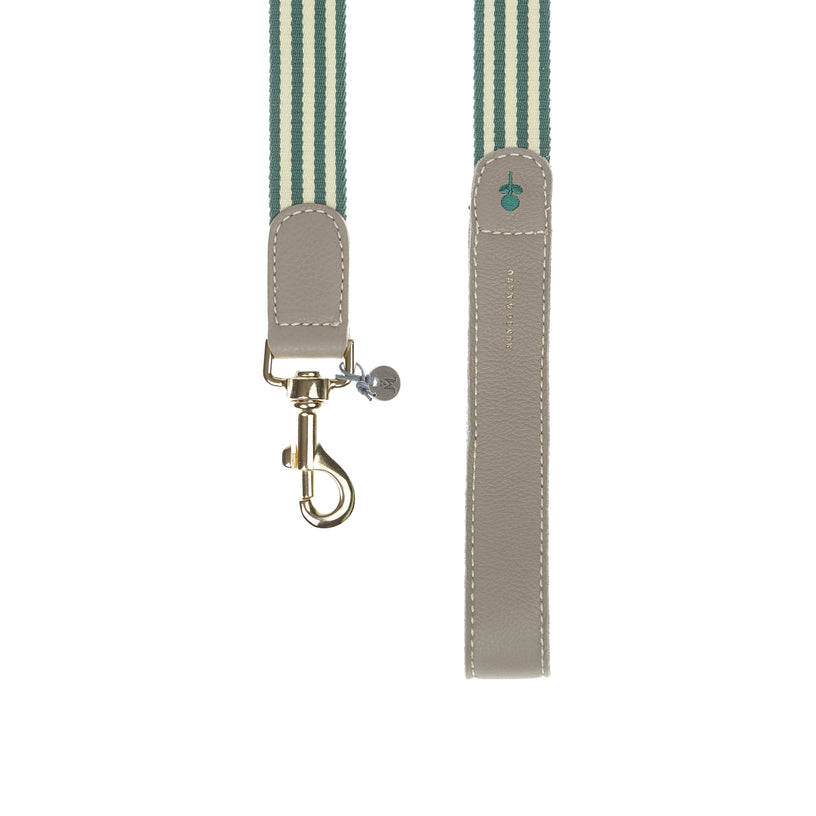 Flora Dog Lead