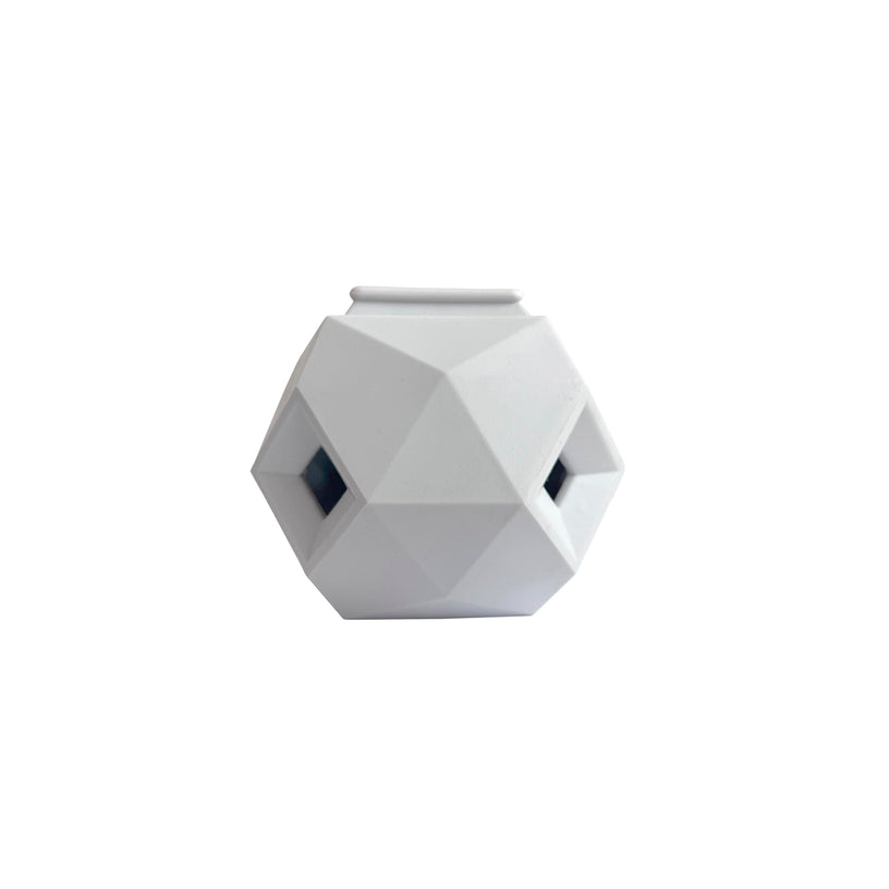Prism Dog Toy