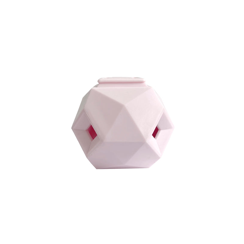 Prism Dog Toy