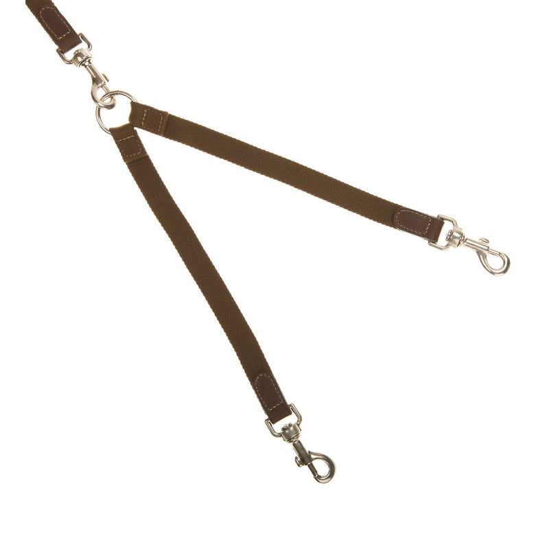 Split Ends Dog Lead