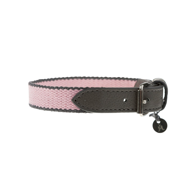 Preppy Dog Collar